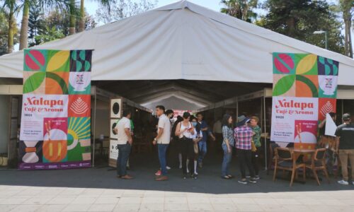 Fiesta del café, este fin de semana en Xalapa