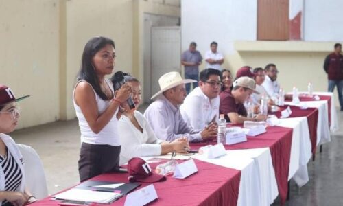 Partido MC no tiene futuro político en Veracruz: Elizabeth Cervantes