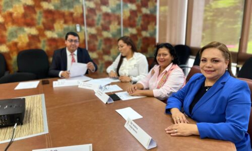 Respalda Comisión Especial la regularización de predios escolares en Veracruz