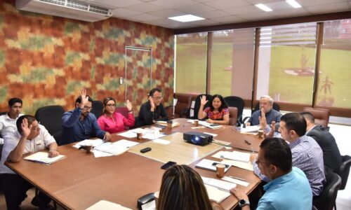 Aprueban proyectos de protocolos y convocatorias para consultas