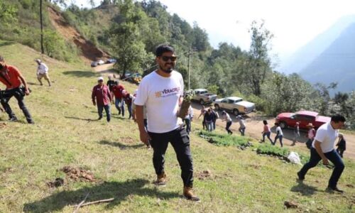 Se suma la CGCS a la siembra de árboles en Veracruz