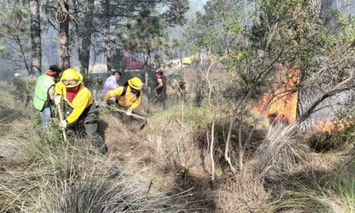Dos incendios en zona de Cofre de Perote; en ninguno solicitan voluntarios