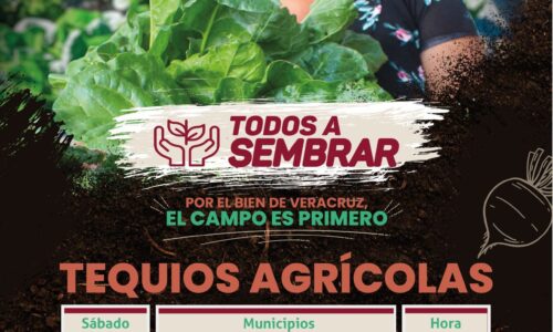 Con 54 tequios agrícolas, arranca Gobierno la campaña Todos a Sembrar