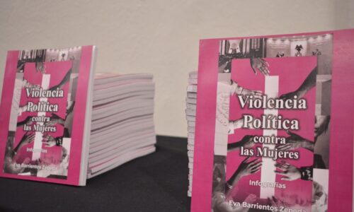 Presentan en el Congreso el libro Violencia Política contra las Mujeres, Infografías