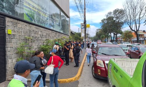 Xalapeños acuden a firmar petición para no derribar árboles en Lázaro Cárdenas