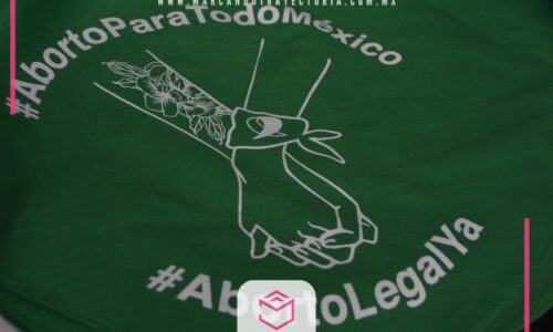 IMSS e ISSSTE, sin garantía de aborto seguro aunque sea legal: Organizaciones civiles