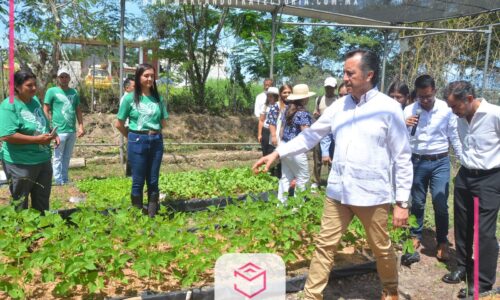 Centro Ecológico Colibrí, un lugar para preservar el medio ambiente: Gobernador