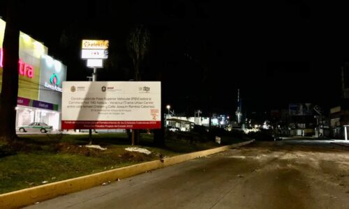 Madruguete a ambientalistas y vecinos; comienza la tala de árboles por obra en Xalapa