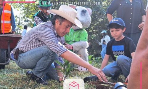 Gobiernos municipal y estatal comienzan reforestación en parque Natura