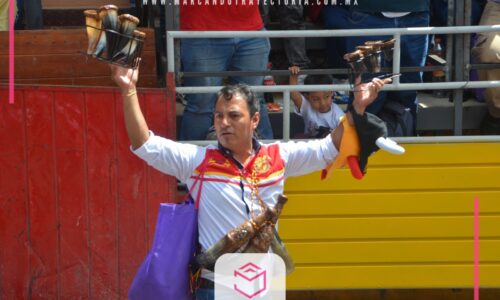 Serán 18 toros para capea, en la Xiqueñada 2023
