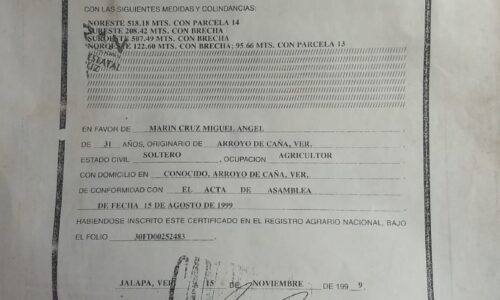 Denuncian por fraude procesal a Urbanizadora Medellín y Notaría 31