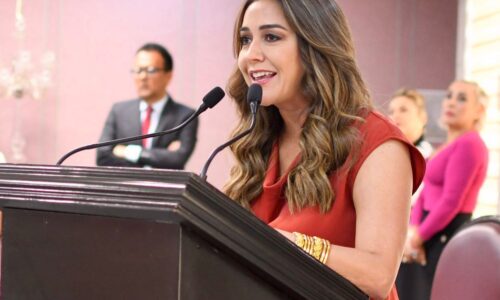 Debemos dar soluciones reales a la inseguridad y los constantes cortes de energía eléctrica que aquejan a Veracruz: Anilú Ingram