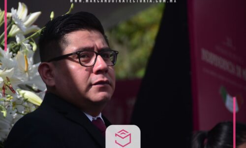 Coalición con Verde y PT, a definirse a nivel nacional: Morena