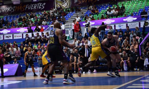 Los Halcones de Xalapa celebran buena racha