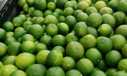 En mañanera presumen a Veracruz como principal productor de limón