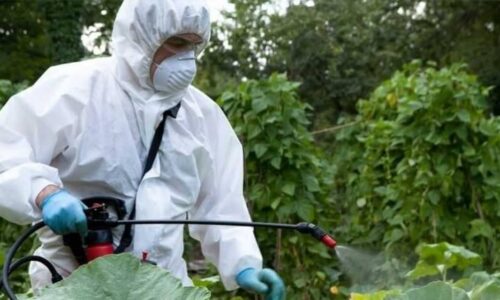 Más de 50 personas resultan intoxicadas por fumigación en Tlalnepantla, Estado de México