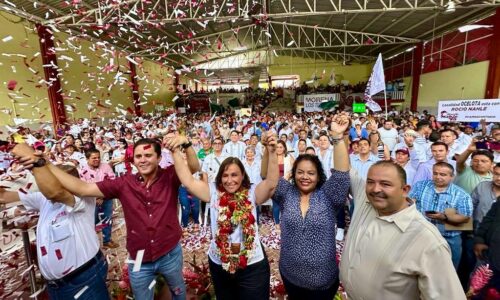 Comité de Defensa de la 4T en Veracruz será coordinado por Nahle García: Fararoni