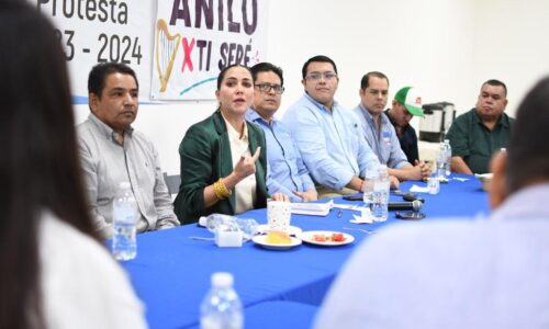 Debemos reactivar la economía en Veracruz: Anilú Ingram