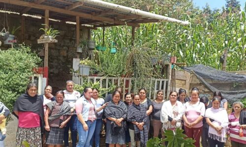 Con escuelas campesinas, Sedarpa rejuvenece campo veracruzano