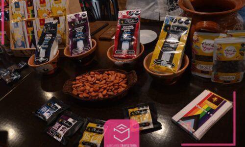 Cacao veracruzano, riqueza cultural y gastronómica
