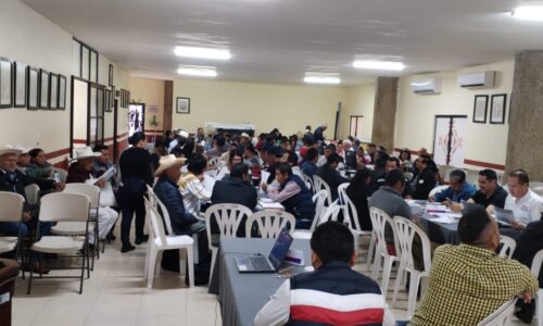 Gran participación en la tercera etapa de la Consulta a las comunidades indígenas y afromexicanas del OPLE Veracruz