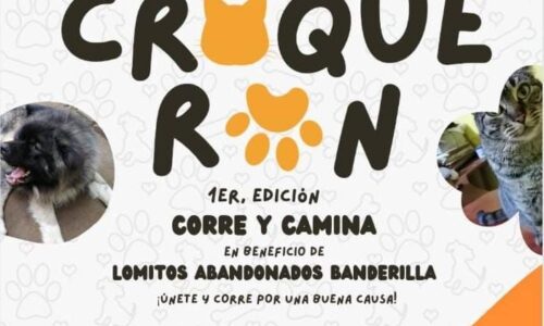 “CroqueRun»: Carrera solidaria universitaria a favor de albergues para animales