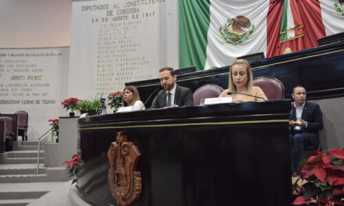 Veracruz, ejemplo de responsabilidad medioambiental: Sedema