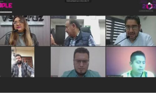 Aprueban dictámenes de las consultas del OPLE Veracruz