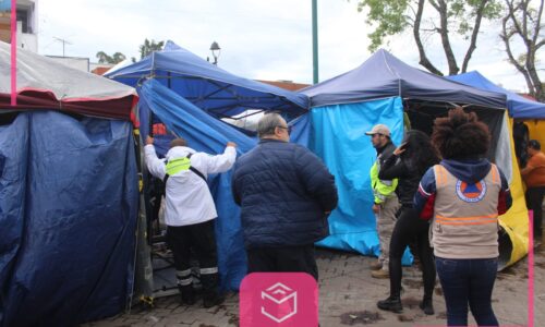 Árboles caídos y puestos dañados, saldo del «Norte explosivo» de este día en Xalapa
