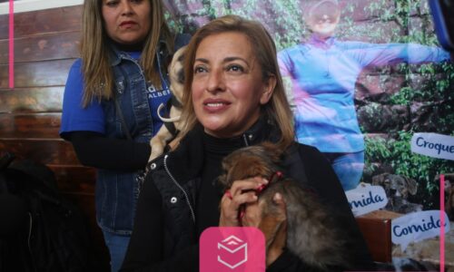 En riesgo el refugio «Ada Azul» por escasez de donaciones: Urge apoyo para más de 300 animales