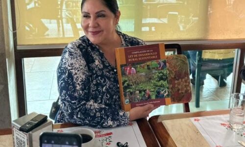 No hay oposición en Veracruz afirma Tello