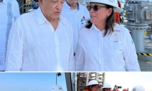 Celebra Rocío Nahle recuperación de planta de hidrógeno en Hidalgo
