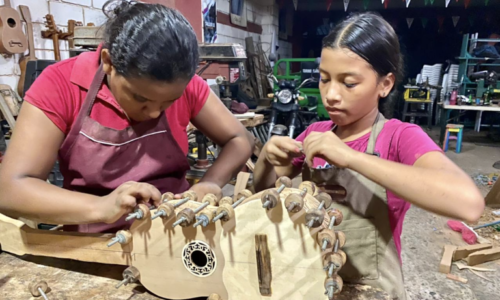 Invita IVEC a conocer el proyecto “Maderas que cantan, sones y laudería para niñas y niños”, de Julio Corro