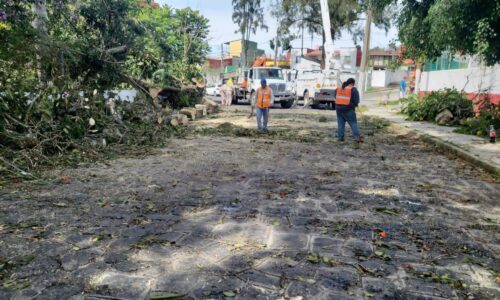 Sin daños que lamentar, la entrada del frente frío 16 en la entidad: PC