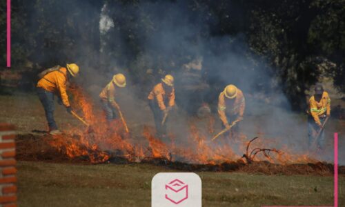 18% menos incendios forestales en 2023, resultado de la coordinación estatal y municipal