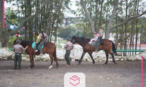 Fuerza Civil brinda equinoterapia a menores del CRISVER