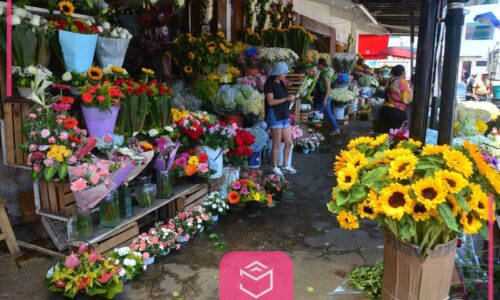 ¿Quieres un ramo buchón? Ve al mercado San José