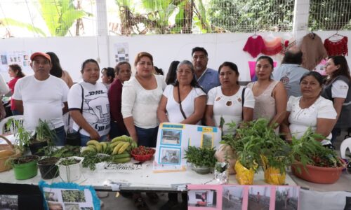 En Veracruz, la política social garantiza alimentación, vivienda y sustento familiar