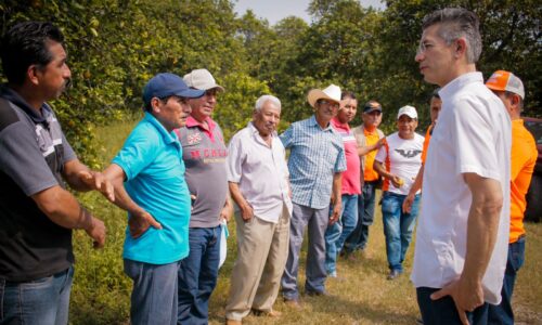 Campo veracruzano afectado por pésimos tramos carreteros en la entidad: Dante Delgado