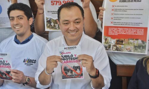 Américo Zúñiga, al rescate de los caballos carretoneros del país
