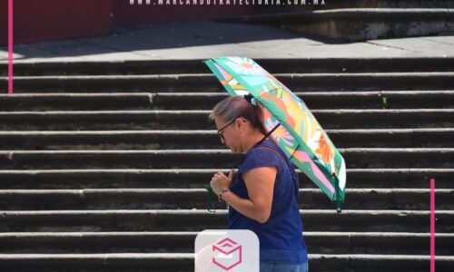 Prepárate para el clima de la próxima semana ¿sacamos chamarra o el ventilador?