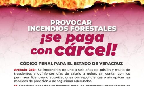 En Veracruz, hasta 6 años de prisión a quien cause incendios