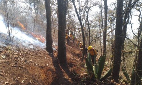 Liquidado incendio de Soledad Atzompa, controlado y 95% de liquidación en Huiloapan, 90% de control en Maltrata