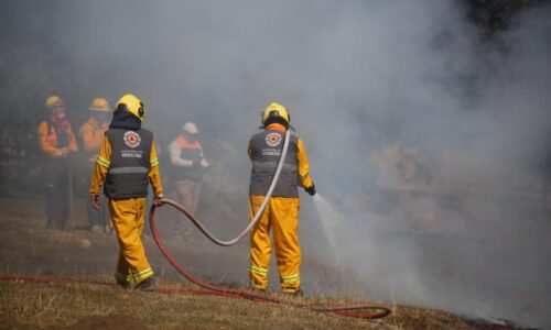 Evitemos incendios forestales; no realices quemas agrícolas en temporada de calor
