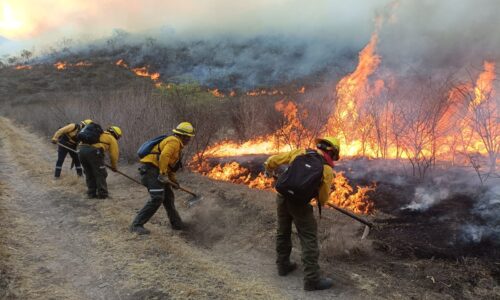 Quema agrícola y surada, causantes de incendios forestales en Veracruz