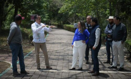 Naturalia protegerá más de 300 ejemplares animales