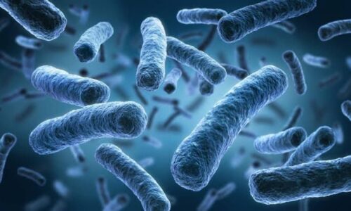 Investigación en la Estación Espacial Internacional revela mutación de bacterias resistentes a medicamentos