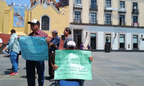 En peligro, cultivos de café, cítricos y abejas cercanas al ingenio de Mahuixtlán