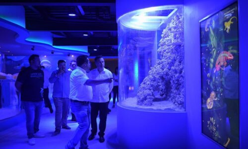 El Aquarium de Veracruz trabaja de forma responsable y profesional en el manejo de especies marinas: Sergio Rodríguez Cortés