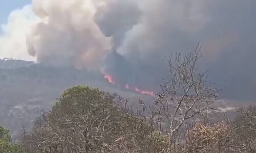 Incendio forestal amenaza con destruir las históricas Cuevas de Mitla y Yagul en Oaxaca